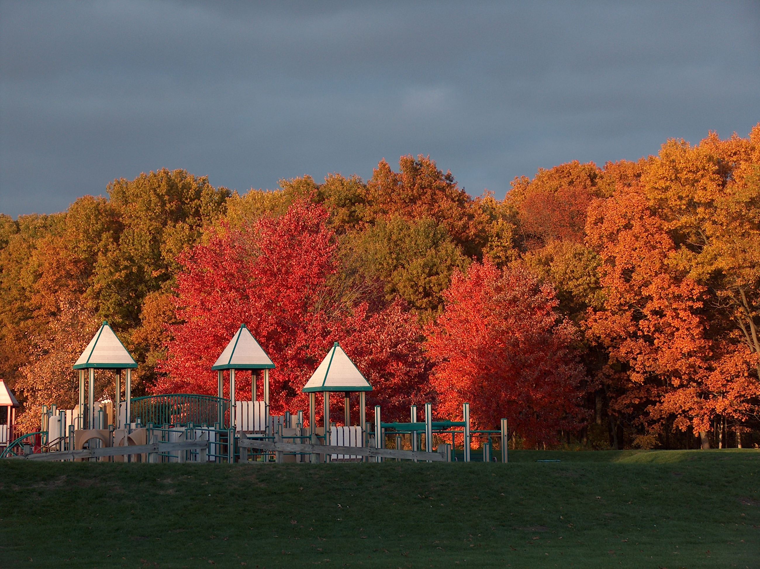 Fall Playground