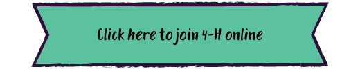 Click here to join 4-H online