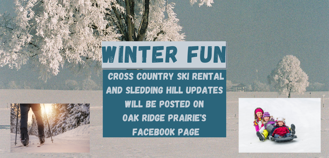 Winter Fun banner