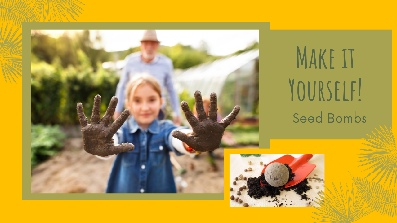 Seed Bomb Craft Click here for the Video Opens in new window