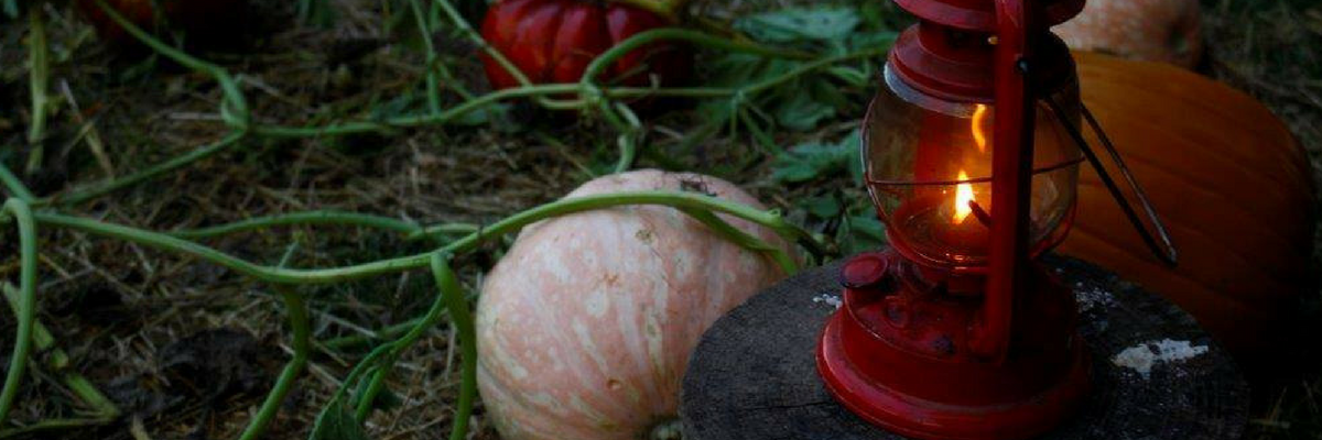 Lantern and pumpkins